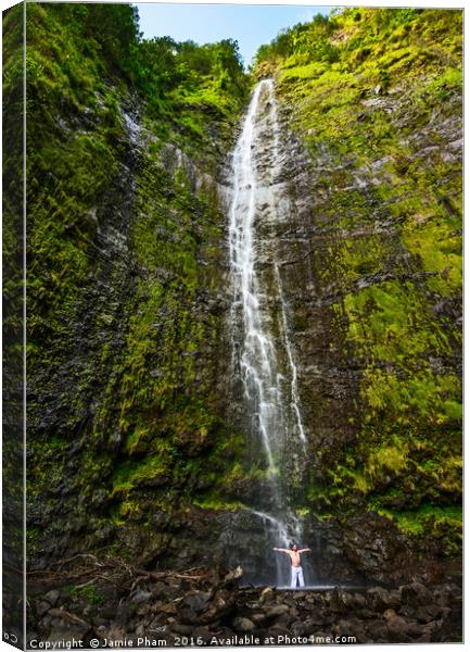 The spectacular and large Waimoku Falls in Maui. Canvas Print by Jamie Pham