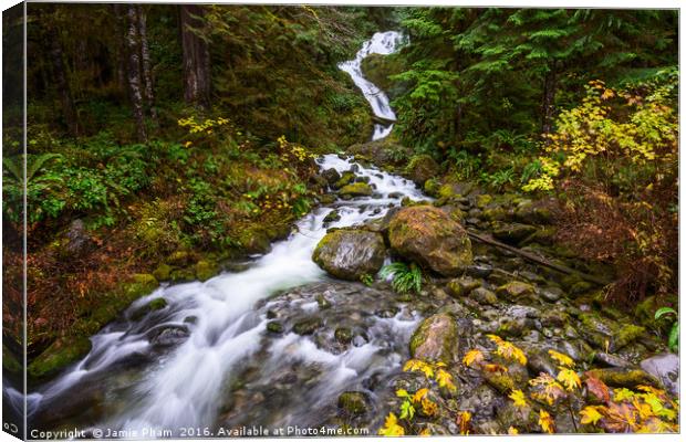 Beautiful Bunch Creek Falls in the Olympic Nationa Canvas Print by Jamie Pham