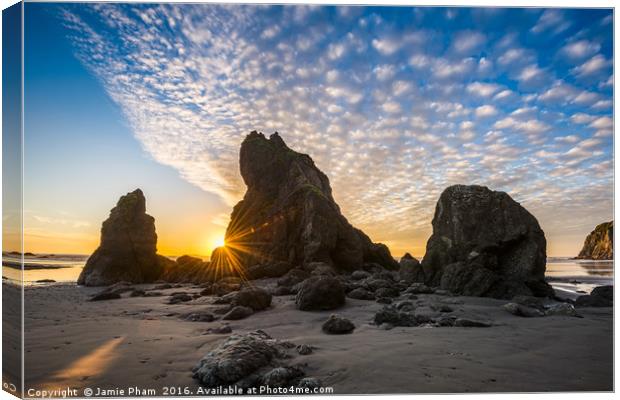 Second Beach in Olympic National Park located in W Canvas Print by Jamie Pham