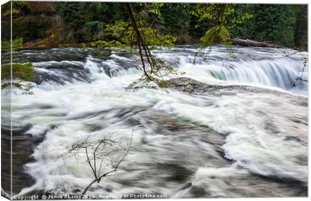 Lower Lewis River Falls in Washington State. Canvas Print by Jamie Pham