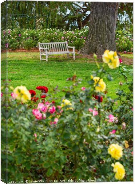 Beautiful Rose Garden of the Huntington Library. Canvas Print by Jamie Pham