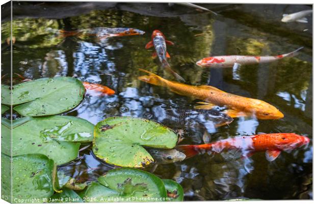 Beautiful koi fish and lily pads in a garden. Canvas Print by Jamie Pham