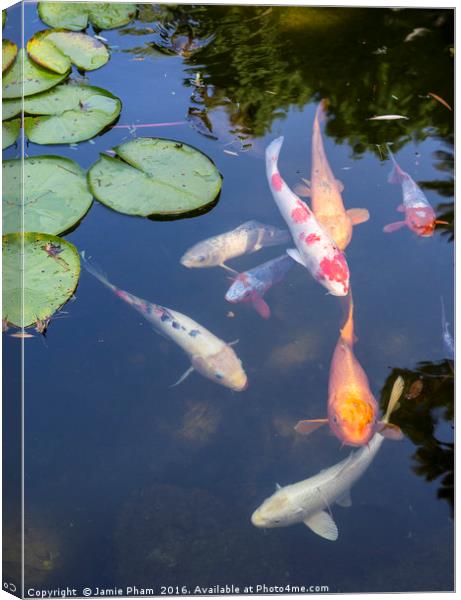 Beautiful koi fish and lily pads in a garden. Canvas Print by Jamie Pham