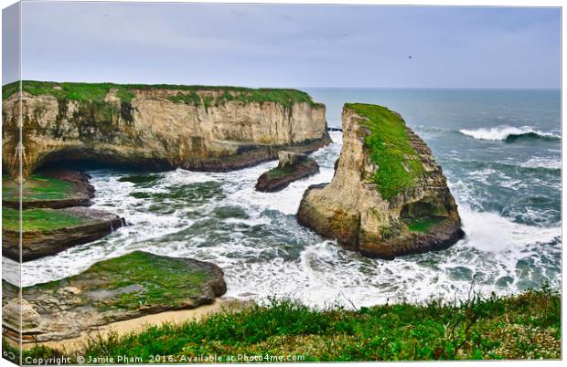 Dramatic view of Shark Fin Cove Canvas Print by Jamie Pham