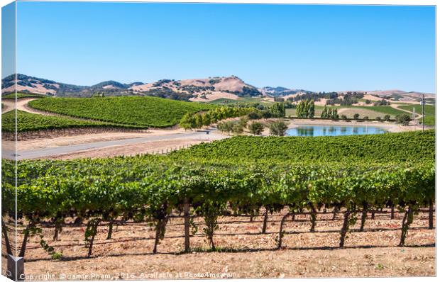 Beautiful view of Cuvaison Winery and vineyard in  Canvas Print by Jamie Pham