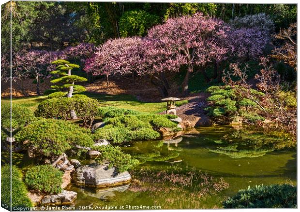 Beautiful springtime blossom of the Japanese Apric Canvas Print by Jamie Pham