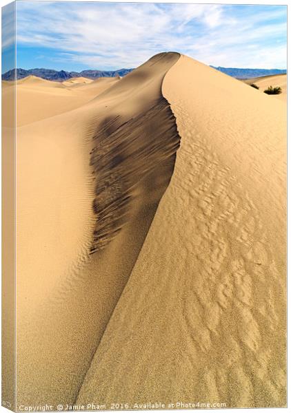 Collapsed sand dune ridge in Death Valley National Canvas Print by Jamie Pham