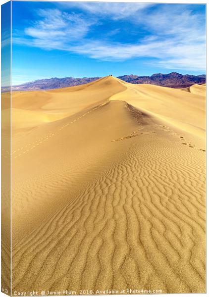 Early morning in the Mesquite Sand Dunes in Death  Canvas Print by Jamie Pham