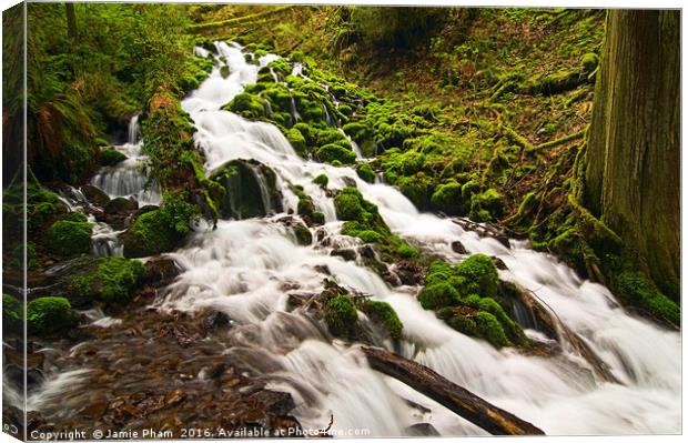 Mossy River flowing. Canvas Print by Jamie Pham