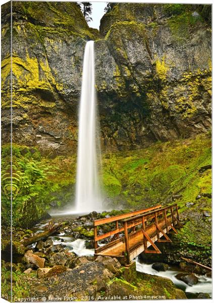 Scenic Elowah Falls in the Columbia River Gorge Canvas Print by Jamie Pham