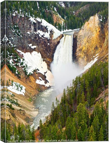 Yellowstone Falls in Spring Time Canvas Print by Jamie Pham