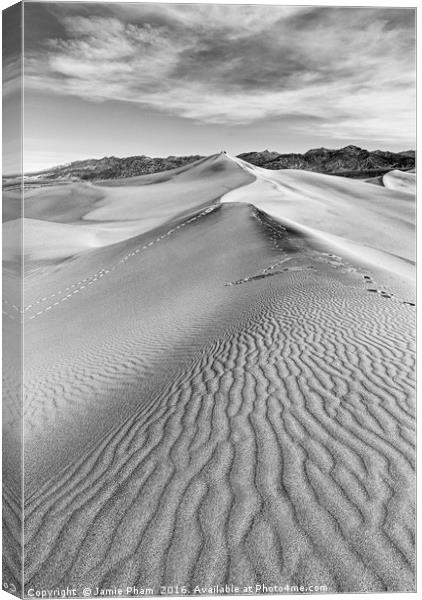 Early morning in the Mesquite Sand Dunes in Death  Canvas Print by Jamie Pham