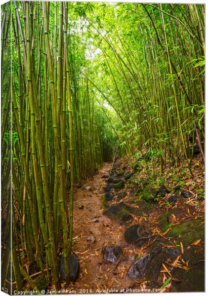 The magical bamboo forest of Maui Canvas Print by Jamie Pham