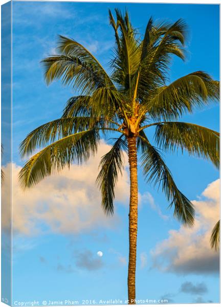 Beautiful coconut palm trees found on Maui, Hawaii Canvas Print by Jamie Pham