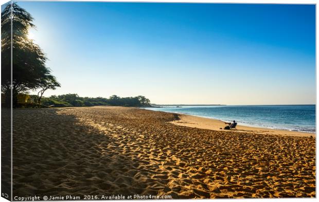 The famous and pristine Big Beach in Maui. Canvas Print by Jamie Pham