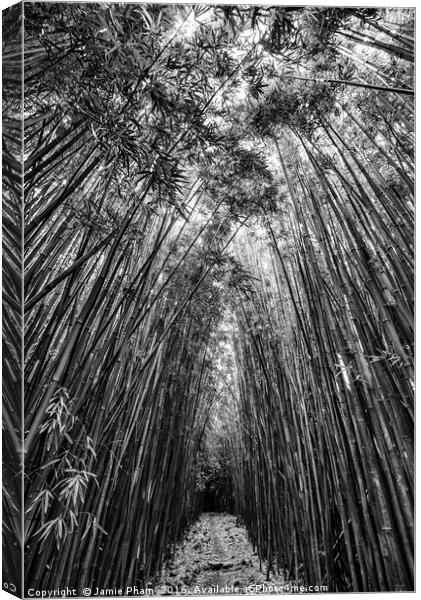 The magical and mysterious bamboo forest of Maui. Canvas Print by Jamie Pham