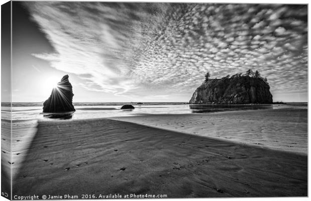 Second Beach in Olympic National Park located in W Canvas Print by Jamie Pham