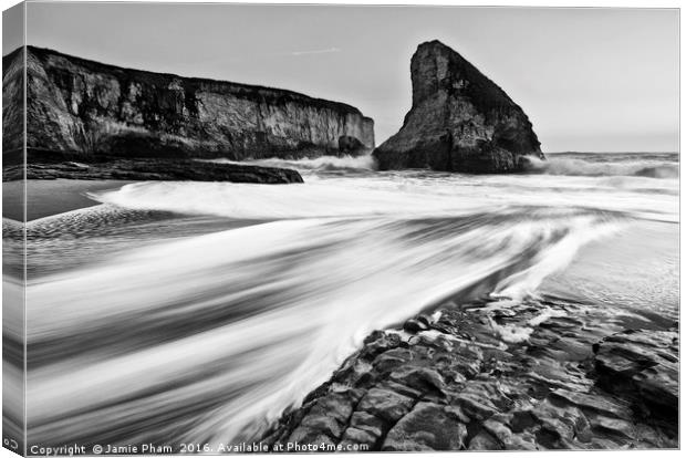 Dramatic view of Shark Fin Cove Canvas Print by Jamie Pham