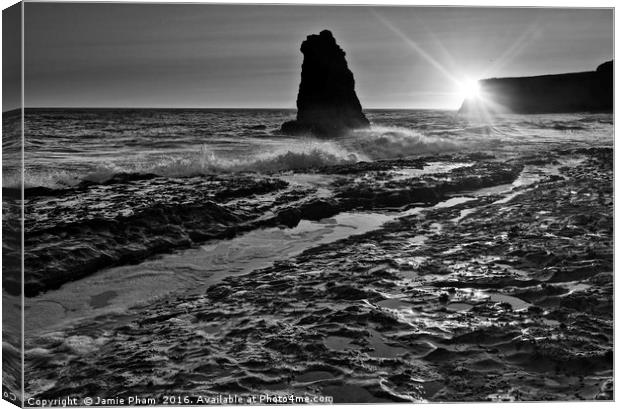 Dramatic view of a sea stack in Davenport Beach, S Canvas Print by Jamie Pham