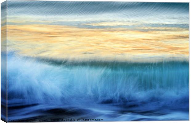 Breaking Wave Canvas Print by Colin Woods