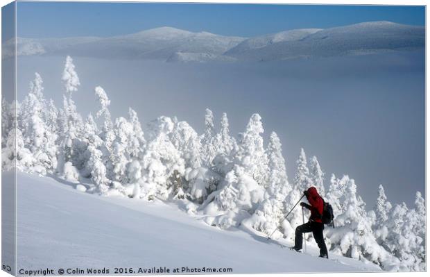 Back Country Skiing in Quebec Canvas Print by Colin Woods