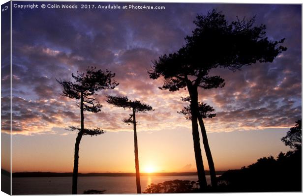 Sunset from Thatcher Point in Torquay, England Canvas Print by Colin Woods