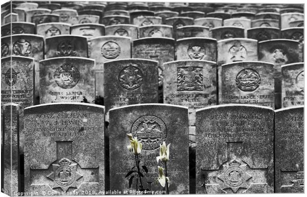 WW1 Graves Canvas Print by Colin Woods