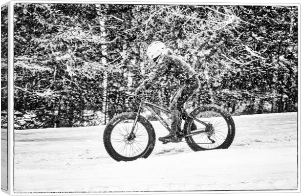 Fatbiking in Quebec Canvas Print by Colin Woods