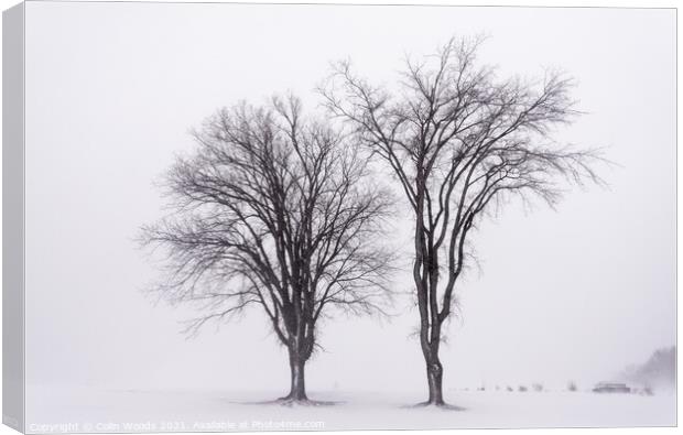 The heart of winter Canvas Print by Colin Woods