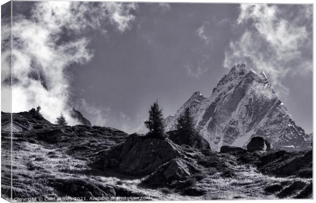 The Aiguille de Blaitière Canvas Print by Colin Woods