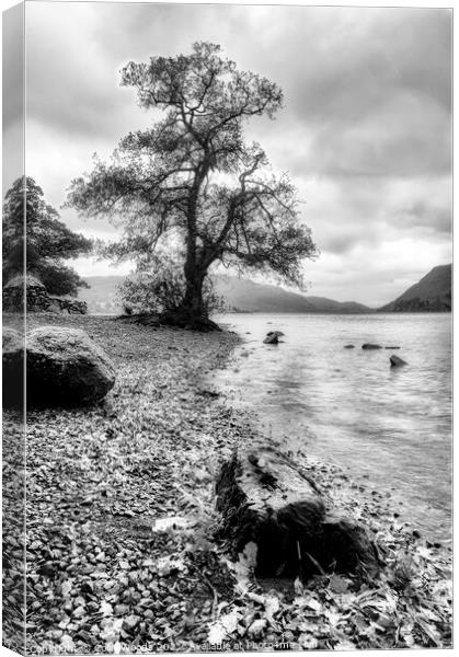 Ullswater Canvas Print by Colin Woods