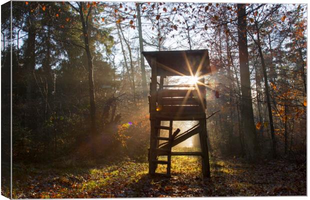 Deer Stand at Sunrise Canvas Print by Arterra 