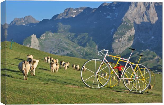 Col d'Aubisque, Pyrenees Canvas Print by Arterra 