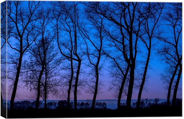 Row of Silhouetted Trees Canvas Print by Arterra 