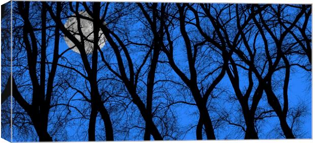 Spooky Trees at Full Moon Canvas Print by Arterra 
