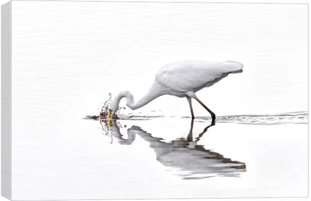 Great White Egret Fishing in Lake Canvas Print by Arterra 