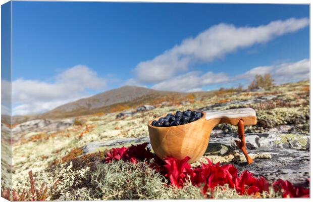 Harvested berries on the Scandinavian Tundra Canvas Print by Arterra 