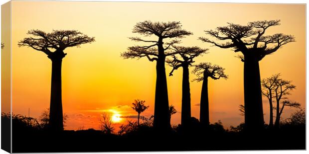 Madagascar at Sunset Canvas Print by Arterra 