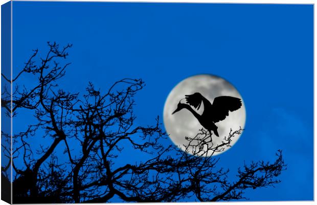 Heron Landing in Tree at Full Moon Canvas Print by Arterra 