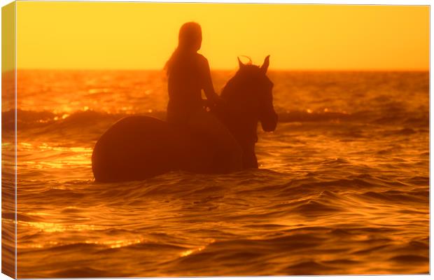 Horsewoman at Sunset Canvas Print by Arterra 