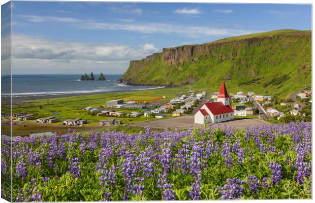 Vik, Iceland Canvas Print by Arterra 