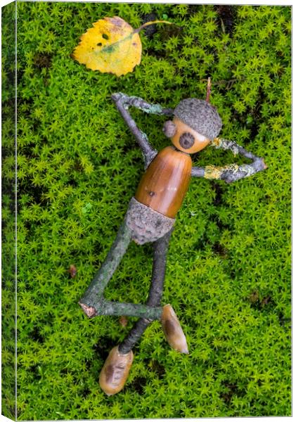 Lazy Little Acorn Man Canvas Print by Arterra 