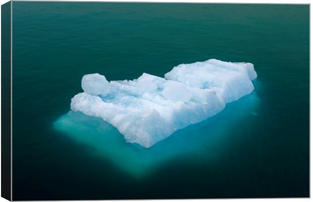 Iceberg Floating in Arctic Sea Canvas Print by Arterra 