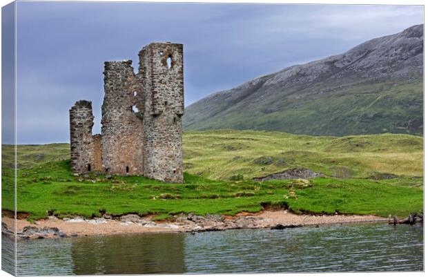 Ardvreck Castle and Loch Assynt, Scotland Canvas Print by Arterra 