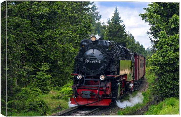 Steam Train Neubaulokomotive in the Harz National Park Canvas Print by Arterra 