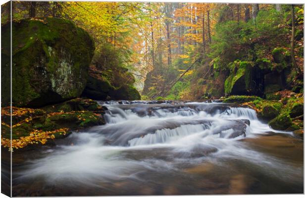 River in Autumn Forest Canvas Print by Arterra 