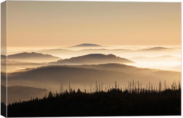 Bavarian Forest Covered in Mist, Germany Canvas Print by Arterra 