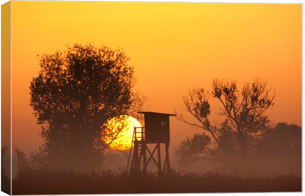 Raised Hunting Stand at Sunrise Canvas Print by Arterra 