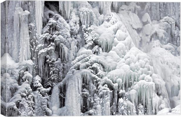 Radau Waterfall in Winter Canvas Print by Arterra 