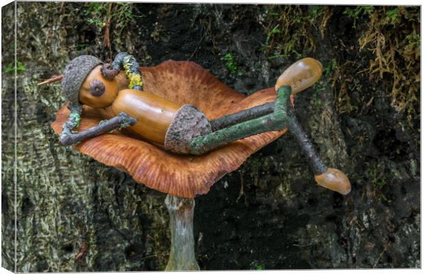 Lazy Acorn Man on Mushroom Canvas Print by Arterra 